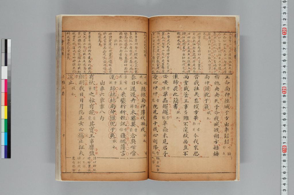 標準画像へ