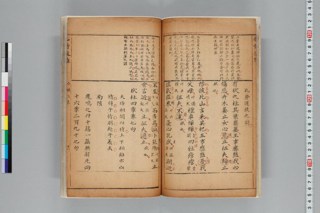 標準画像へ