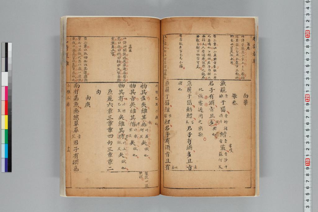 標準画像へ