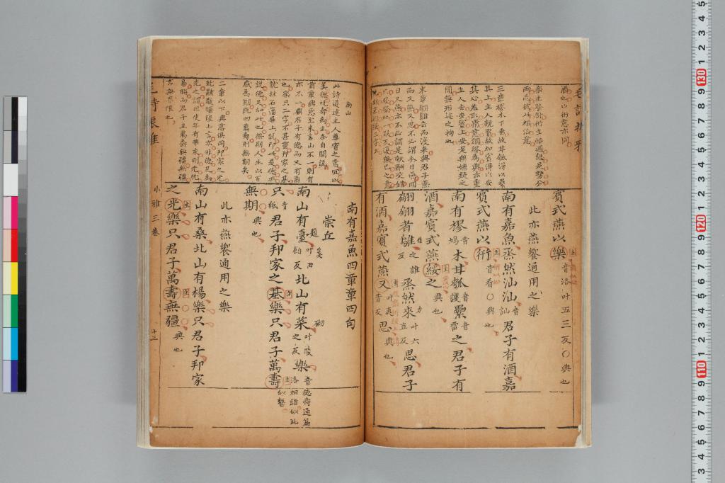 標準画像へ