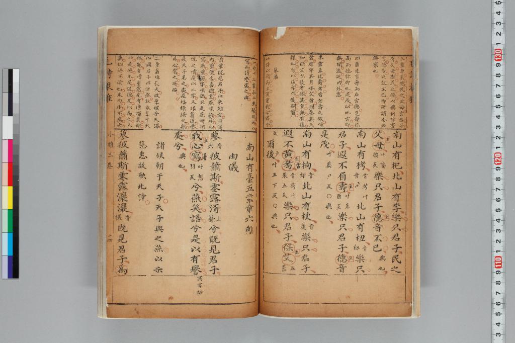 標準画像へ