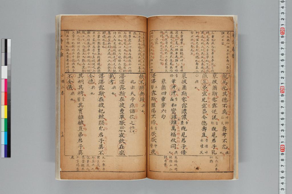 標準画像へ