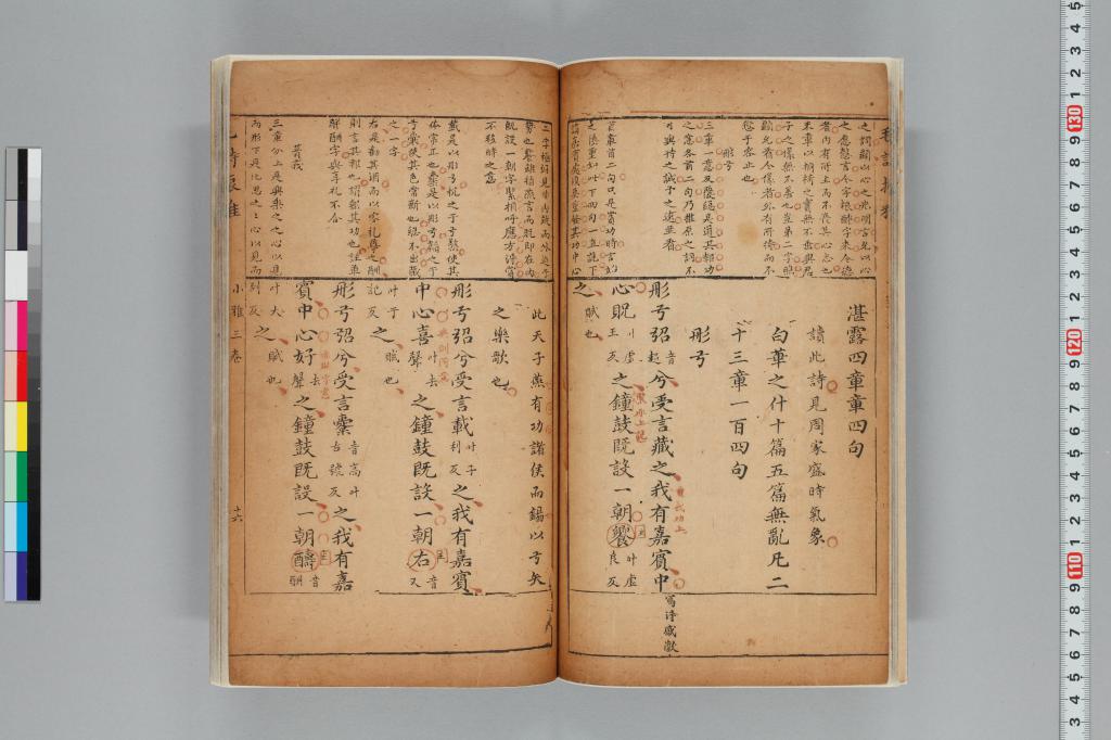 標準画像へ