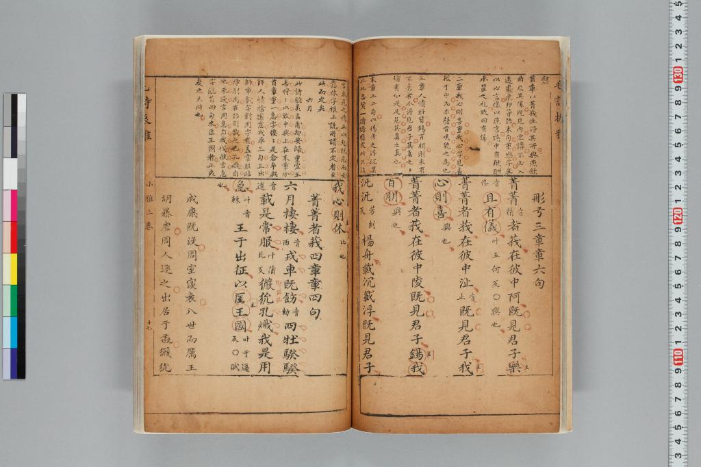 標準画像へ
