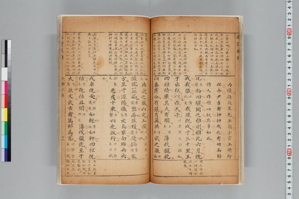 標準画像へ