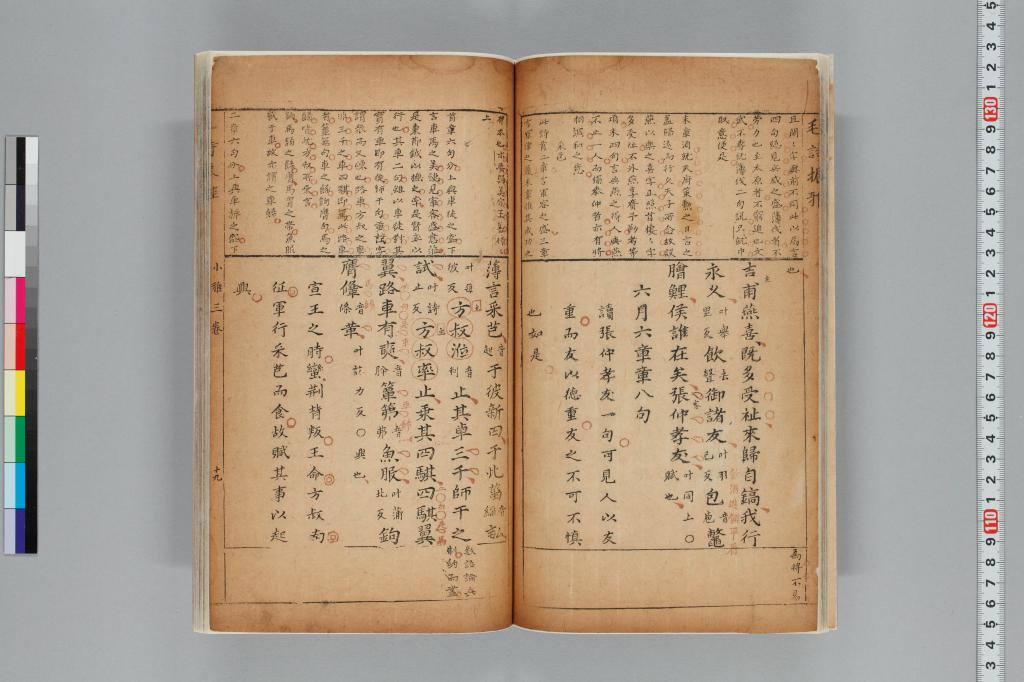 標準画像へ