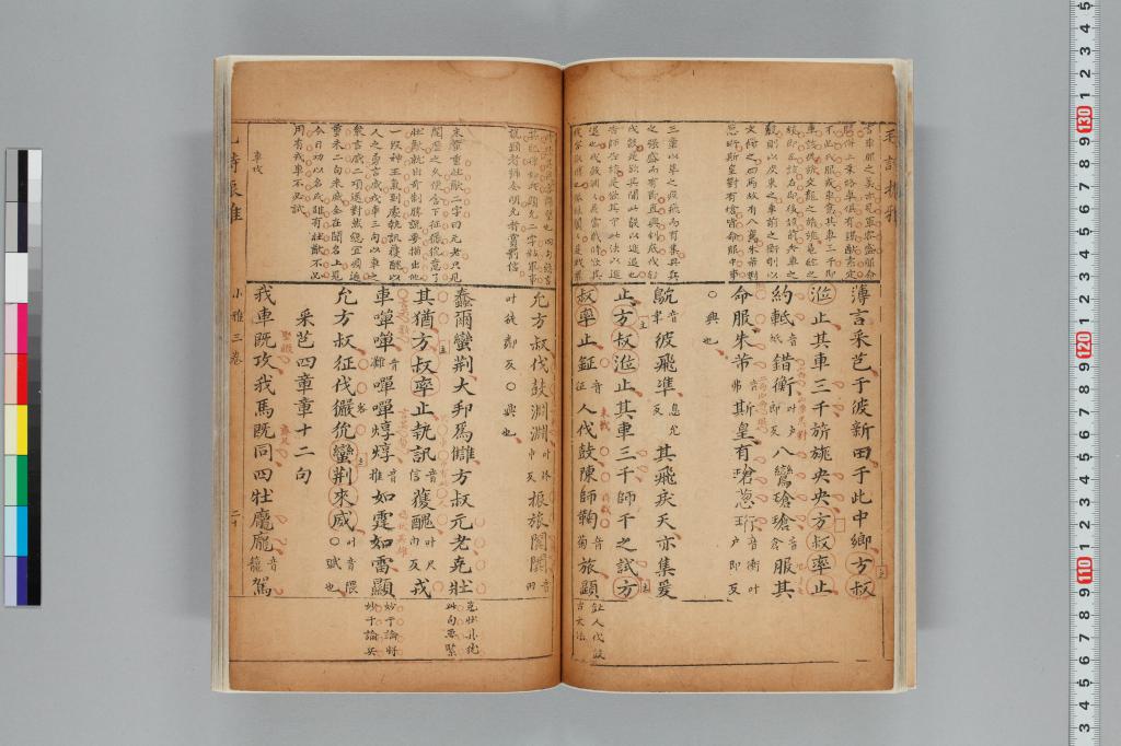 標準画像へ