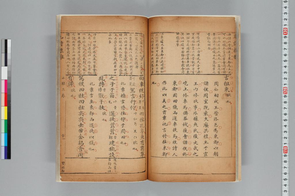 標準画像へ