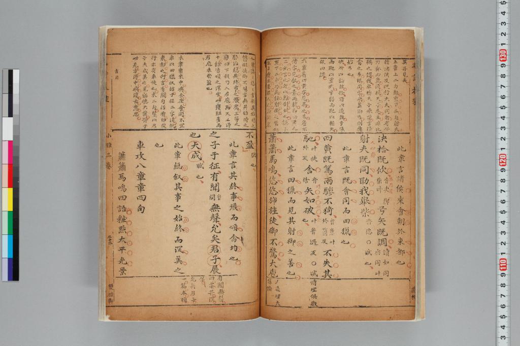 標準画像へ