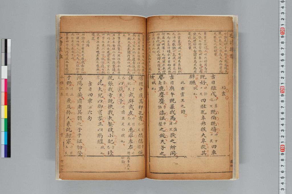 標準画像へ