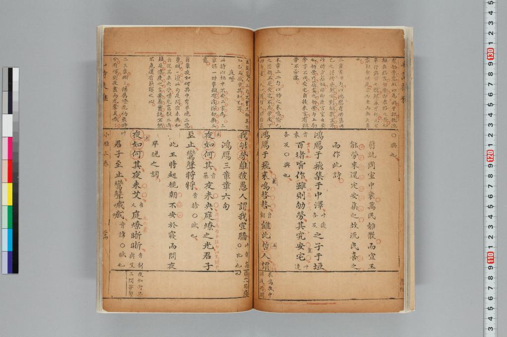 標準画像へ