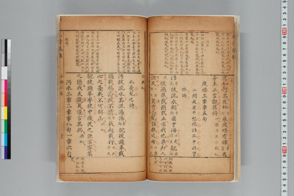 標準画像へ