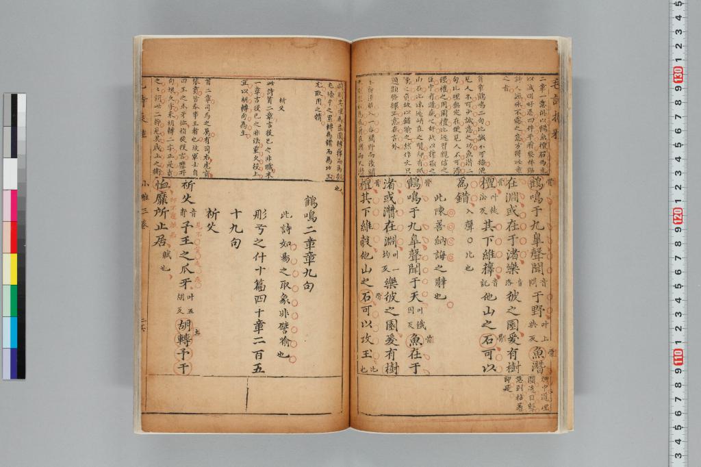 標準画像へ