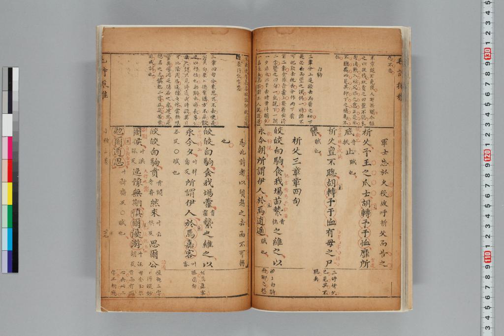 標準画像へ