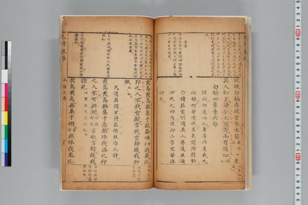 標準画像へ