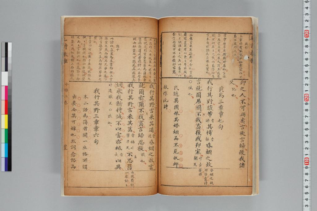 標準画像へ