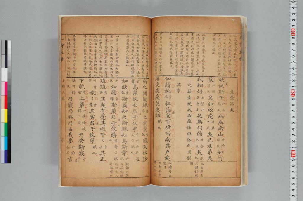 標準画像へ