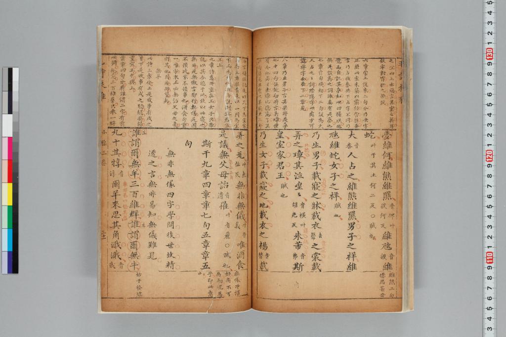 標準画像へ