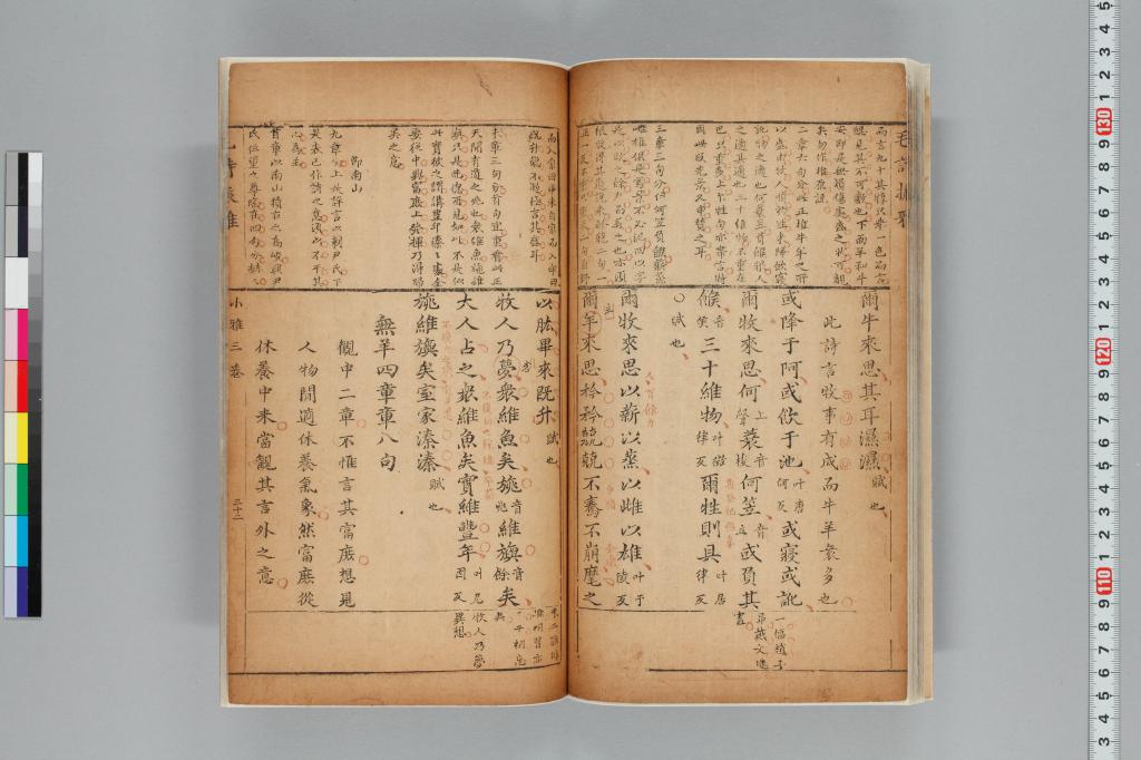 標準画像へ