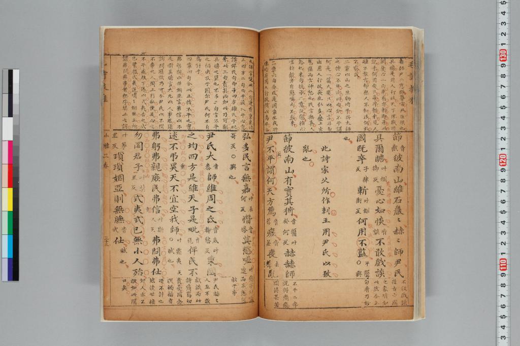 標準画像へ