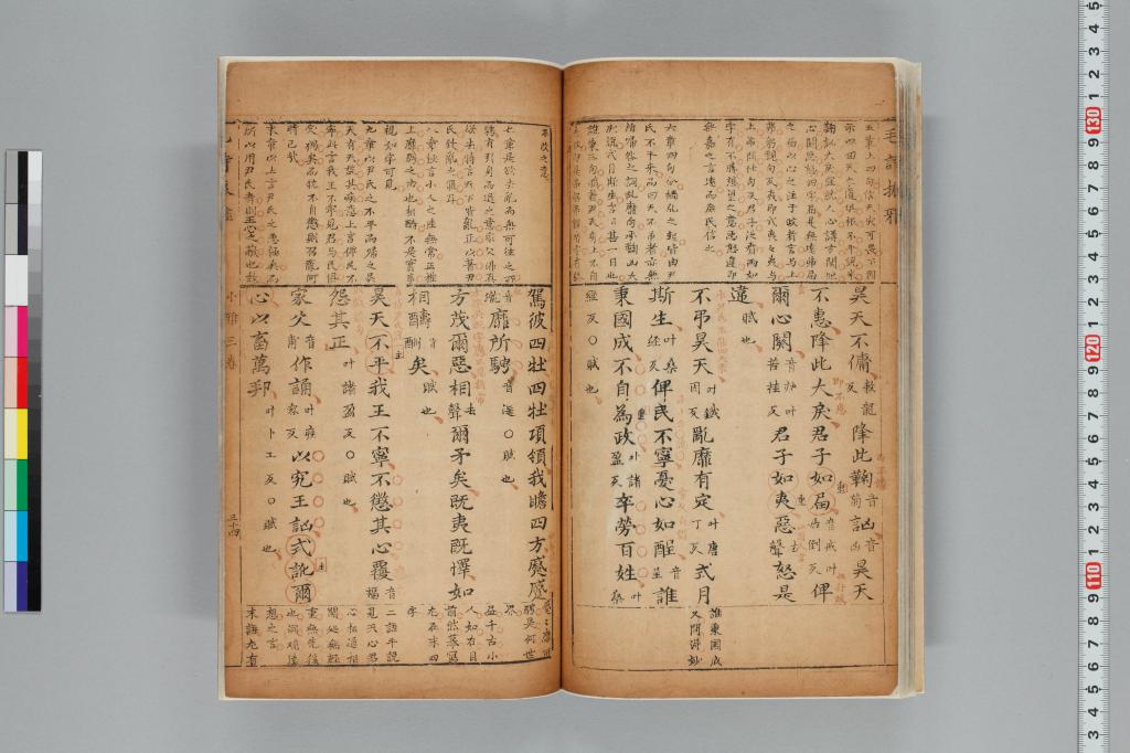 標準画像へ