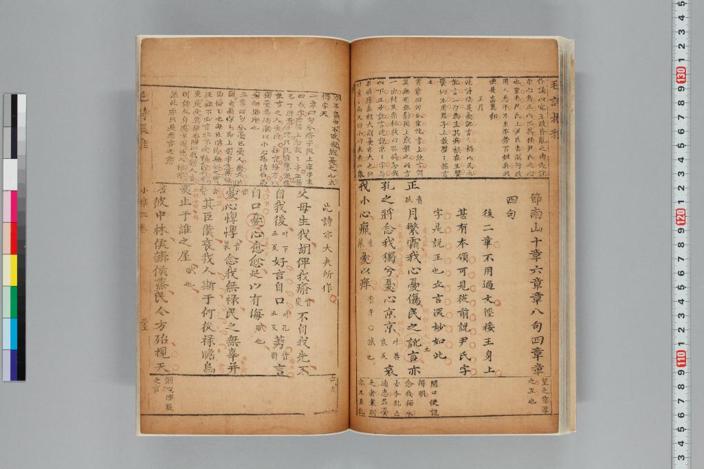 標準画像へ
