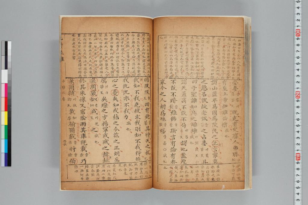 標準画像へ