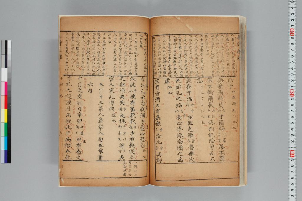 標準画像へ