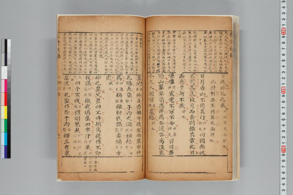 標準画像へ