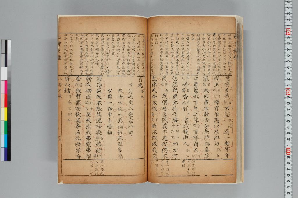 標準画像へ