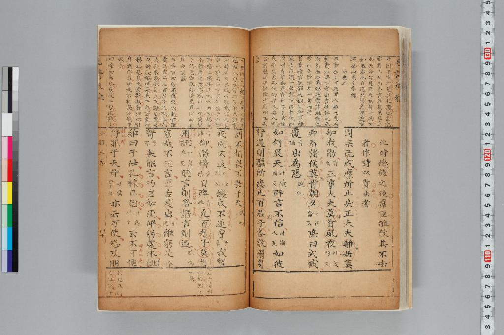 標準画像へ
