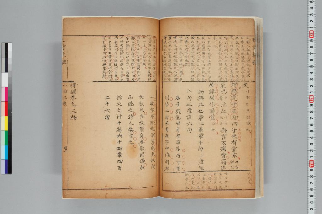 標準画像へ