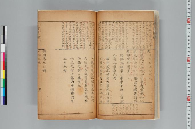 拡大画像へ