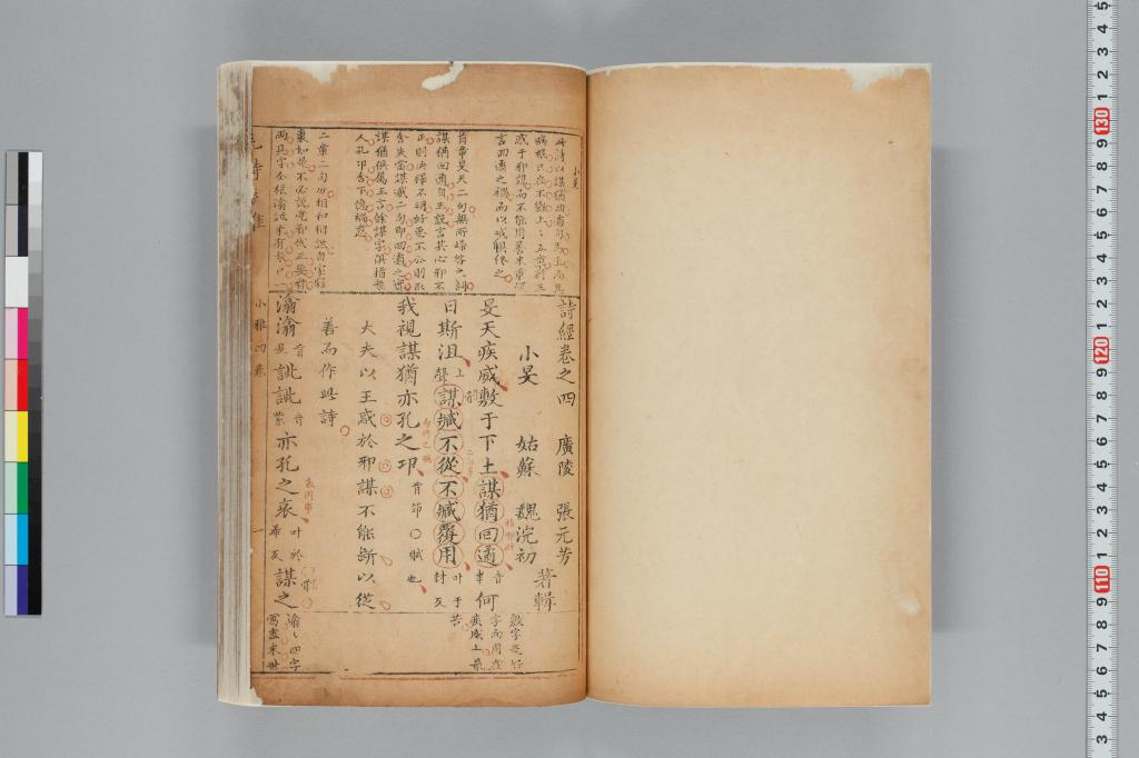 標準画像へ