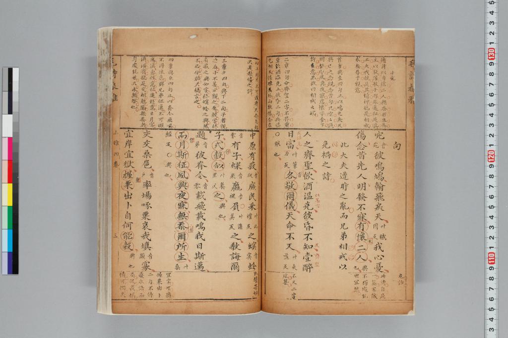標準画像へ