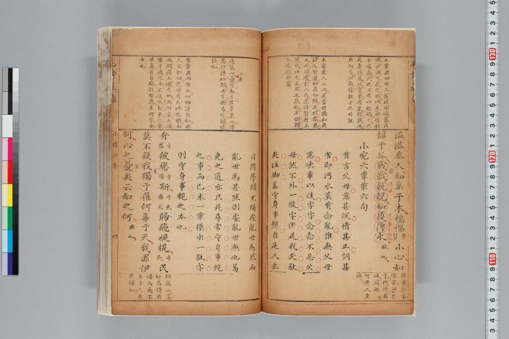標準画像へ