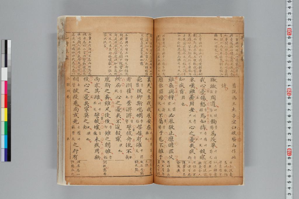 標準画像へ