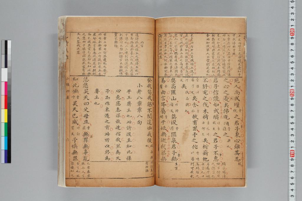 標準画像へ