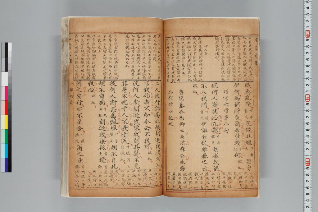 標準画像へ