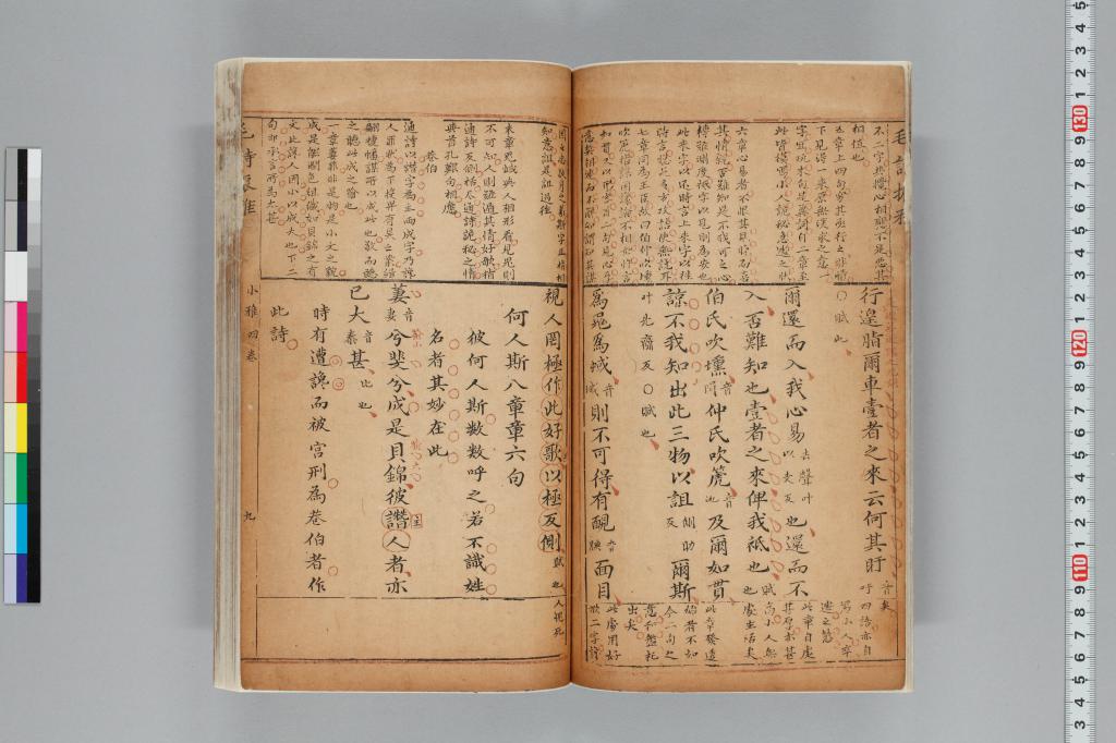 標準画像へ
