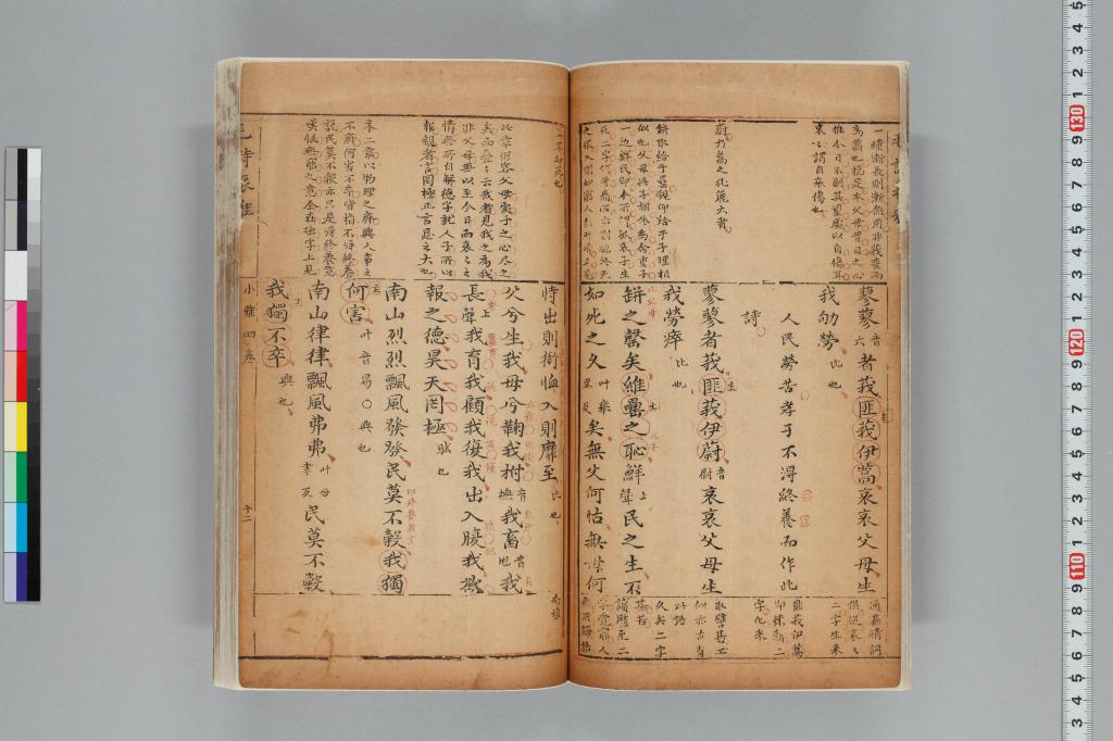 標準画像へ