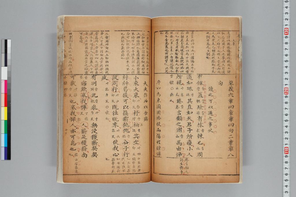 標準画像へ