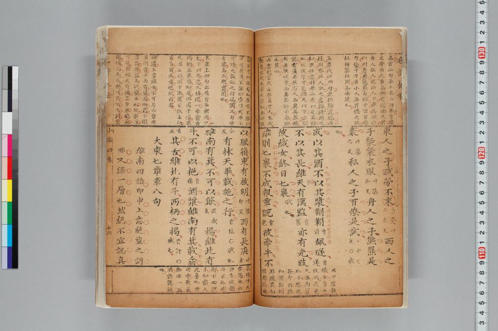 標準画像へ