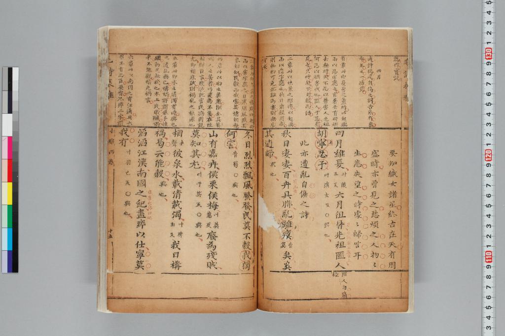 標準画像へ