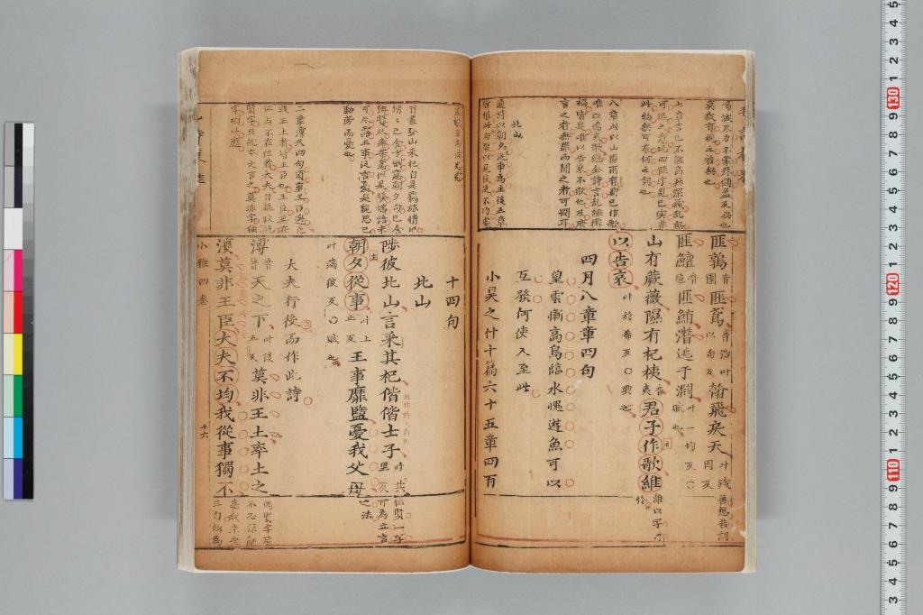 標準画像へ