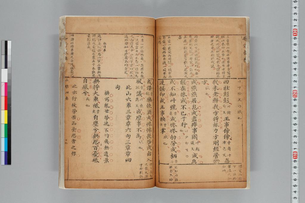 標準画像へ