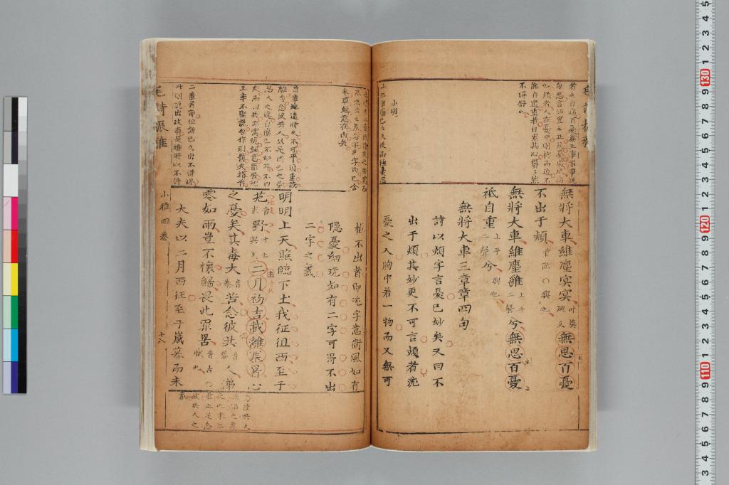標準画像へ