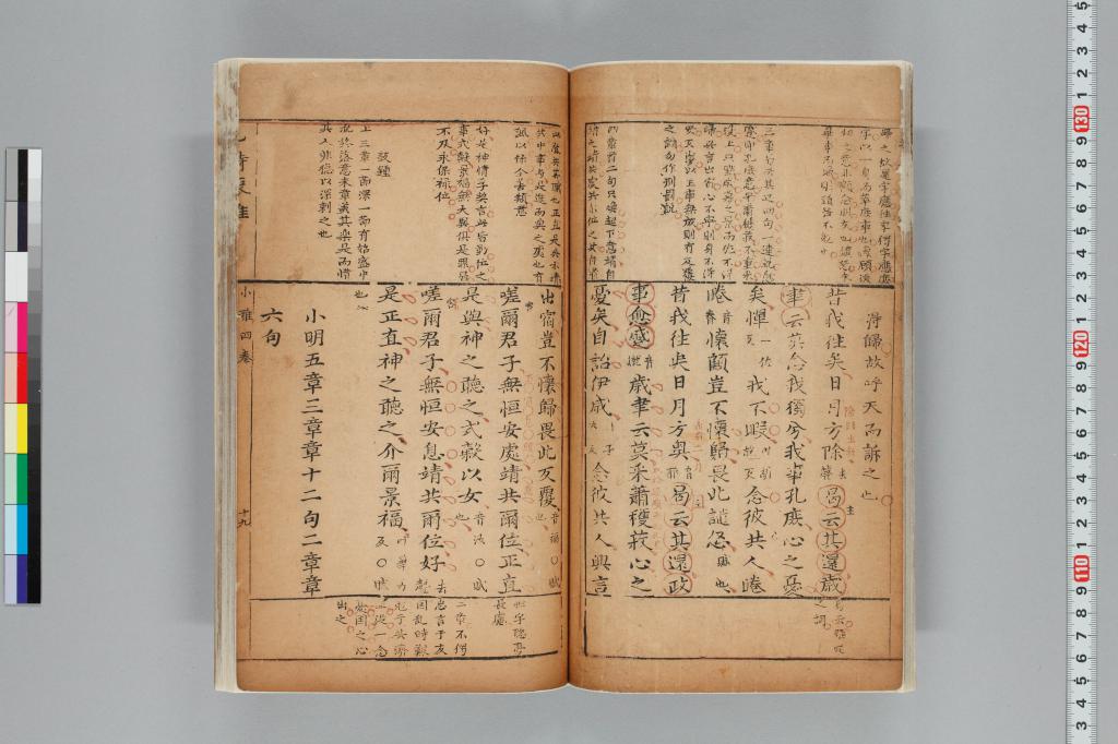 標準画像へ