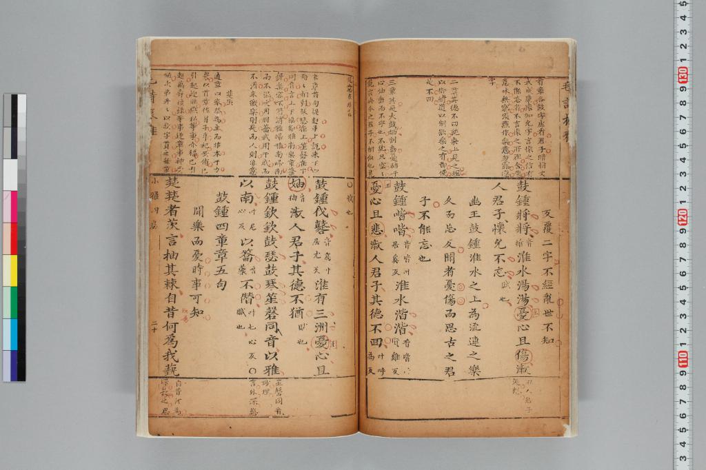 標準画像へ