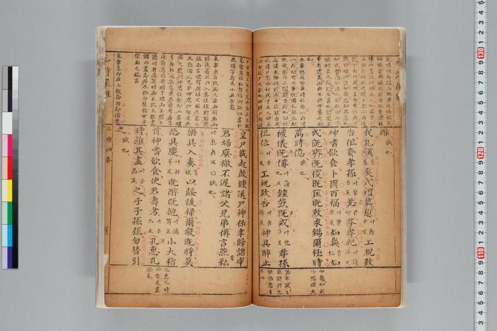 標準画像へ